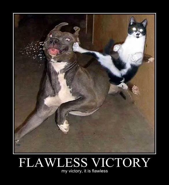 flawless-victory-my-victory-it-is-f.jpg