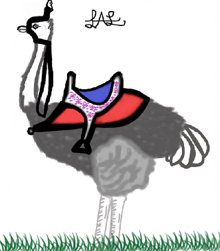 ostrich3